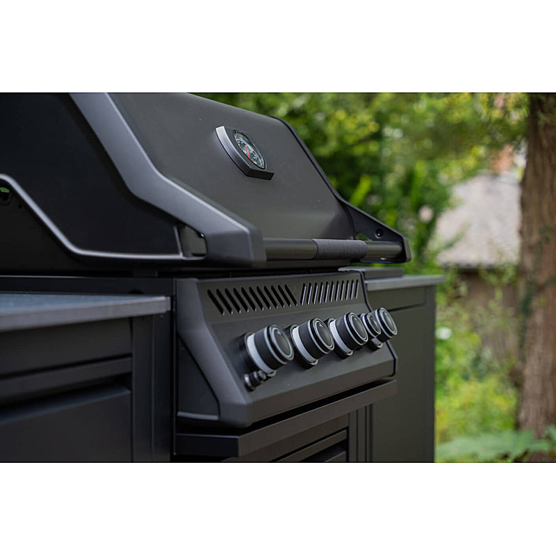 Napoleon Built In Rogue 32 Einbaugrill Mattschwarz Modell 2026