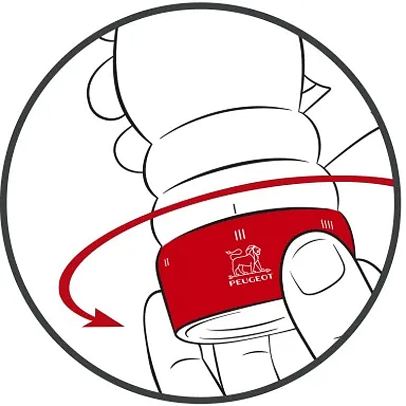 Peugeot PARIS Salzmühle u'Select Z satinschwarz 18 cm