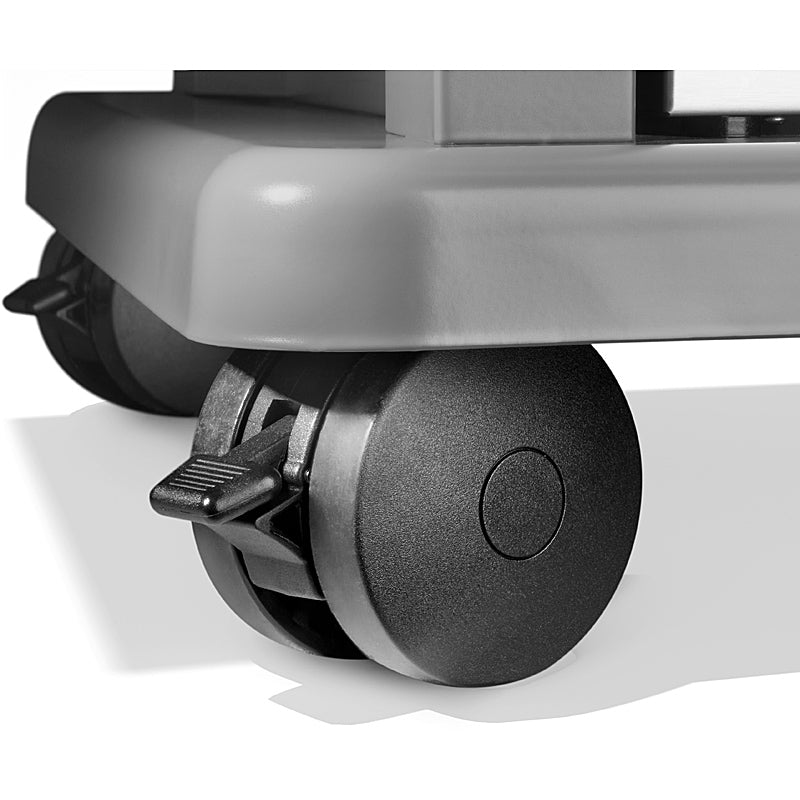 Napoleon Rogue 425 Gasgrill mit Heck- und Seitenbrenner, Schwarz, inkl. Drehspieß