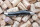 Forge de Laguiole  Sommelier Messer Inox geschweisste Feder dunkles Horn hochglanz poliert Klinge Inox Standard