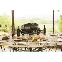 Napoleon PRO285-BK TRAVELQ PRO285 mobiler Gasgrill